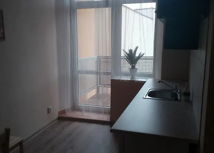 Anglická * Františkovy Lázně